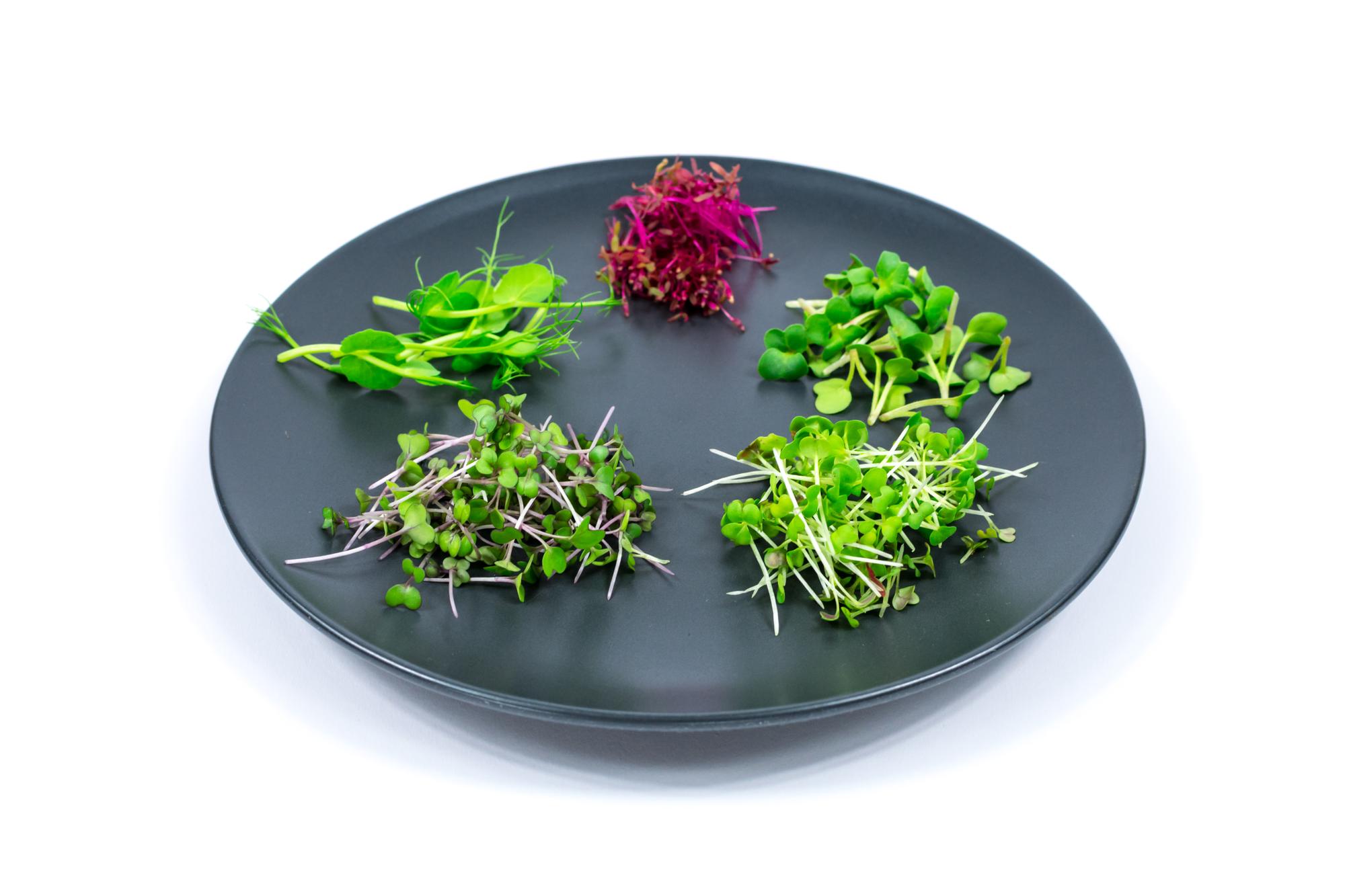 Chef arranging microgreens on a starter